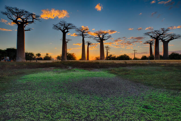 Four days Tour of Madagascar
